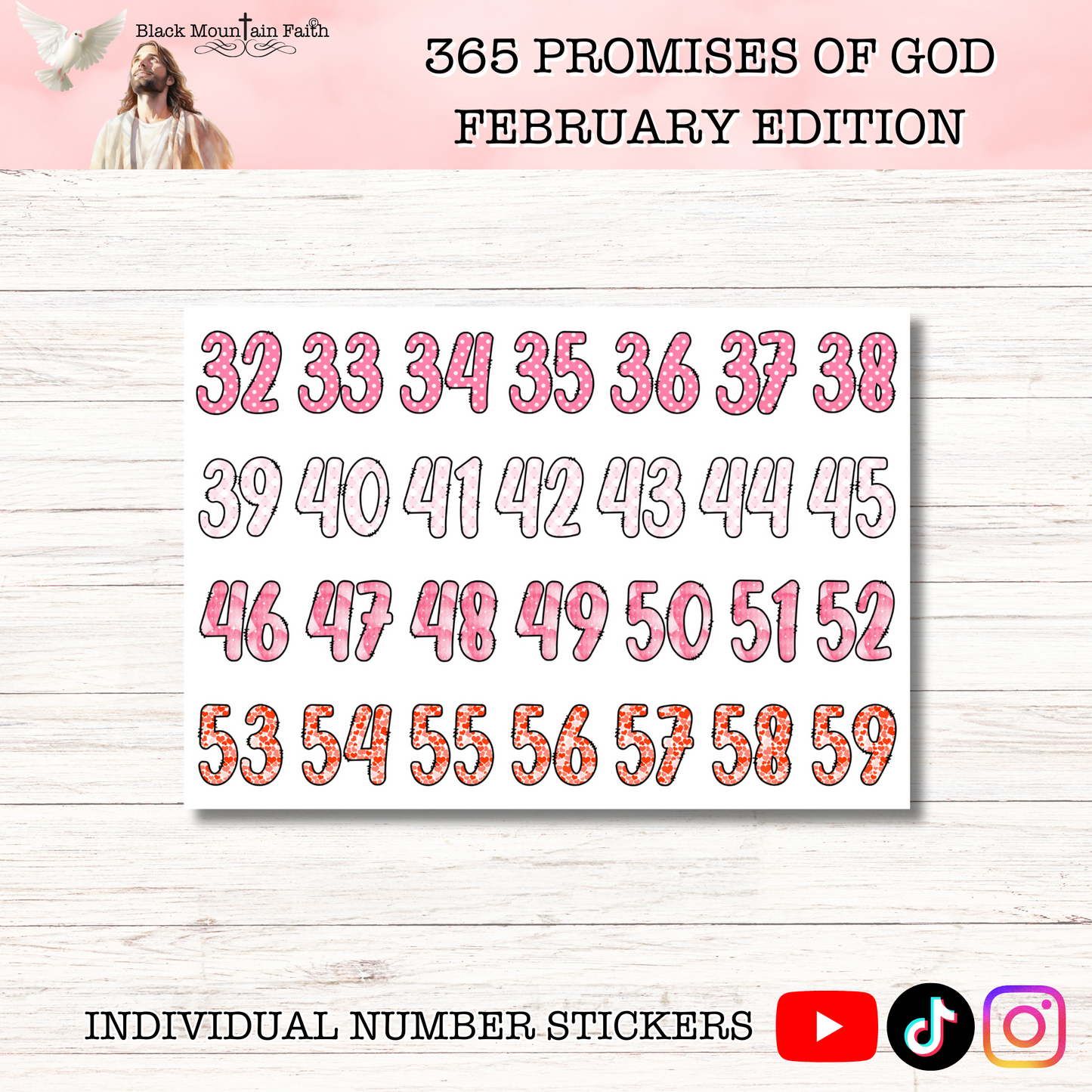 365 Promises of God FEBRUARY STAND ALONE KIT