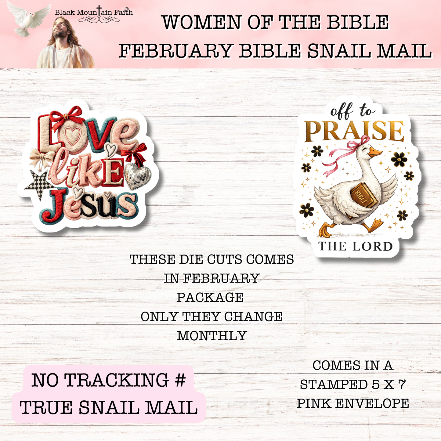 Women of the Bible Snail Mail Stickers FEBRUARY EDITION Stand Alone Listing