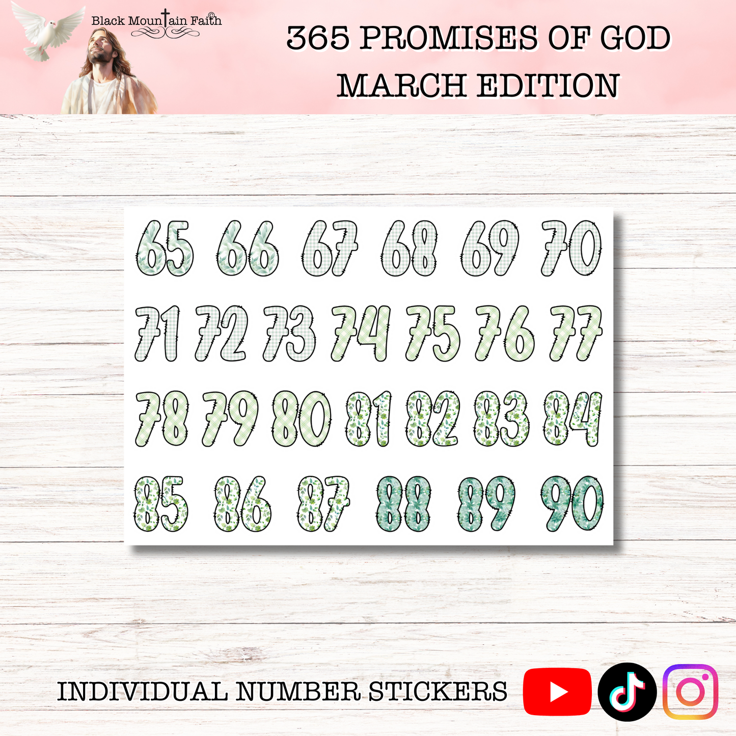 365 Promises of God MARCH STAND ALONE KIT