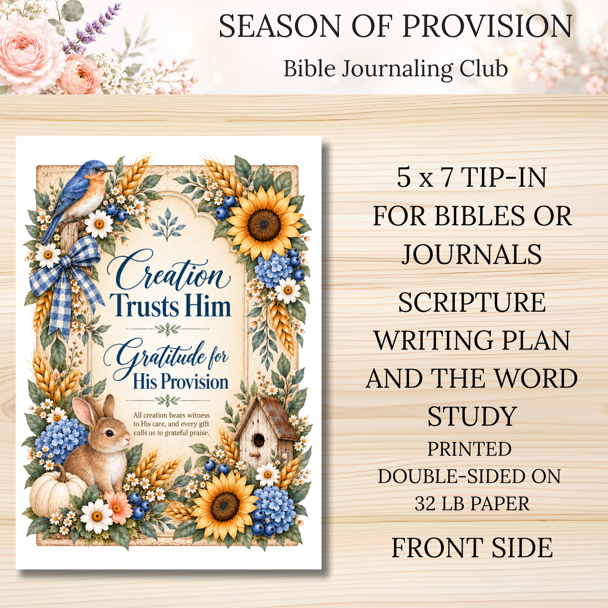 Season of Provision || Bible Journaling Club
