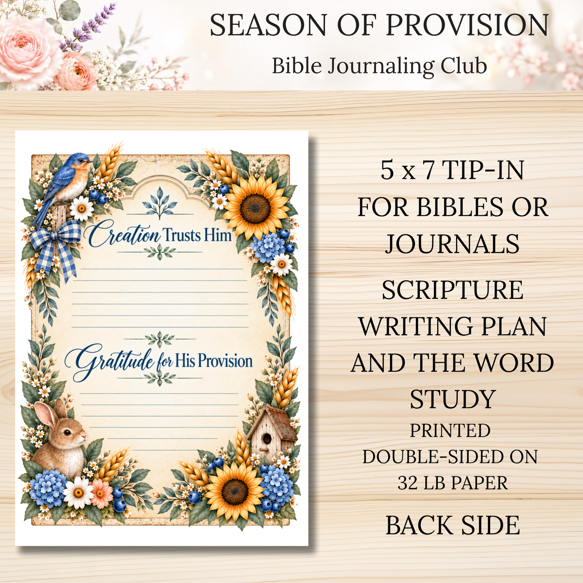 Season of Provision || Bible Journaling Club