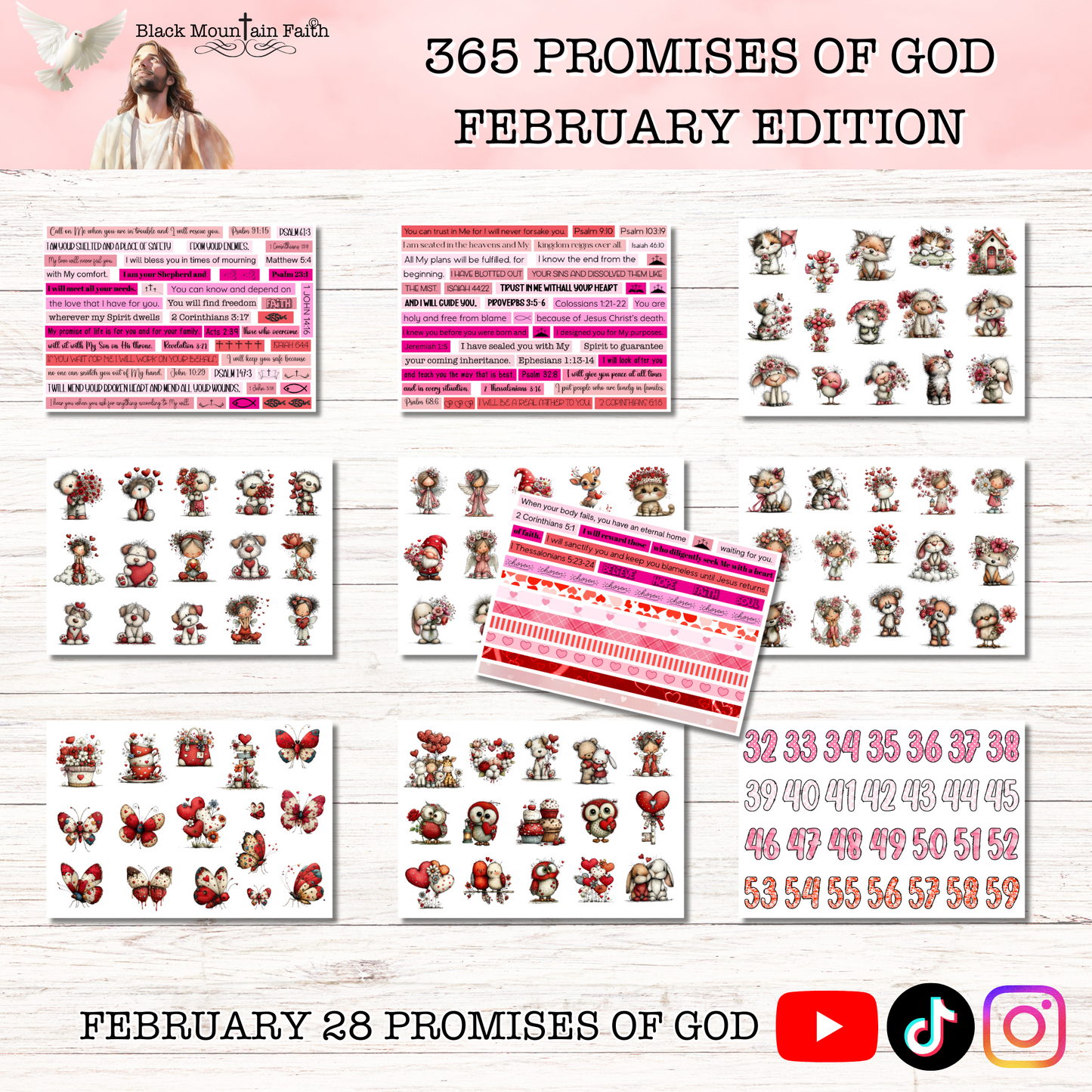 365 Promises of God FEBRUARY STAND ALONE KIT