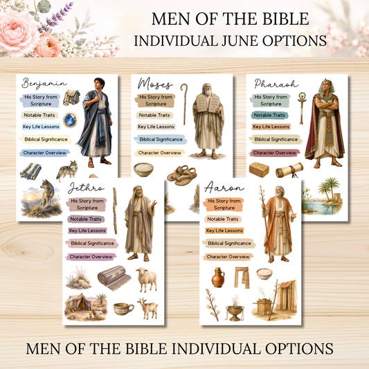 JUNE Men of the Bible Individual Sticker Sheet Options