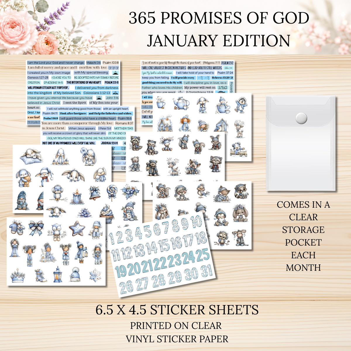 365 Promises of God JANUARY STAND ALONE KIT