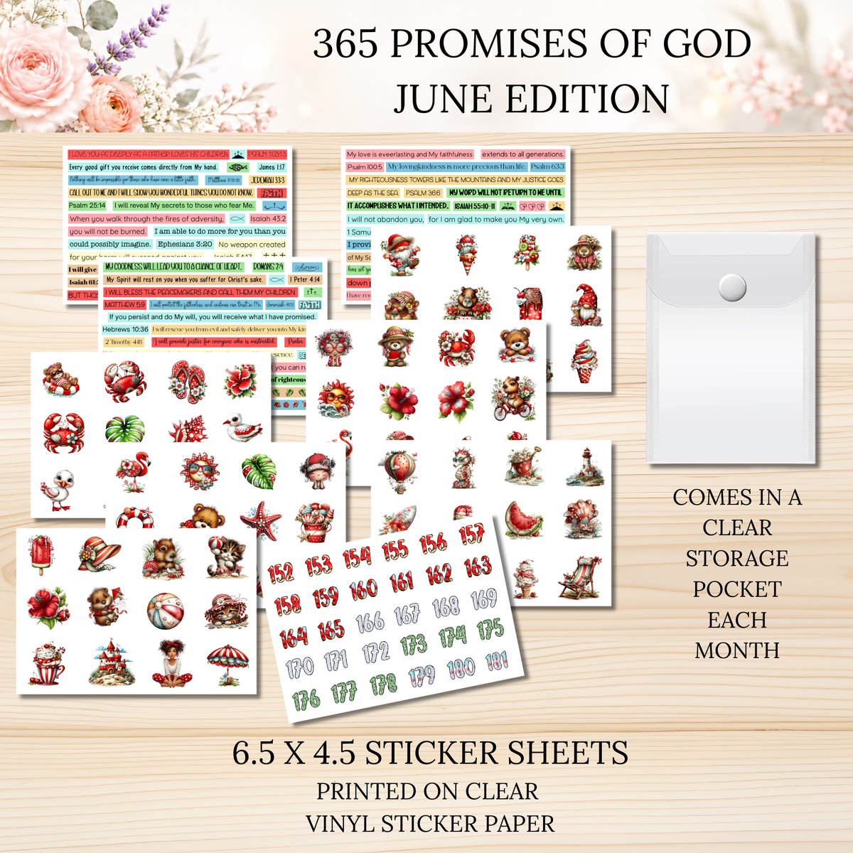 365 Promises of God JUNE STAND ALONE KIT
