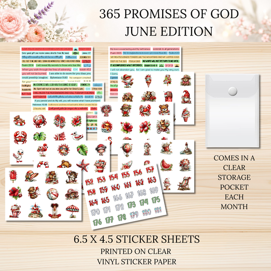 365 Promises of God JUNE STAND ALONE KIT