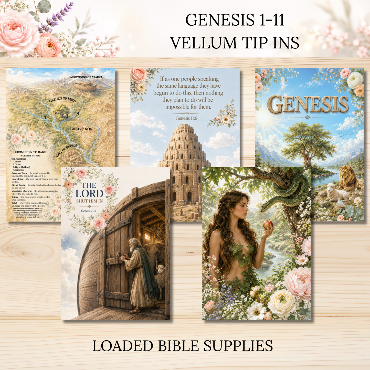 Genesis 1-11 || Vellum Bible Tip-Ins