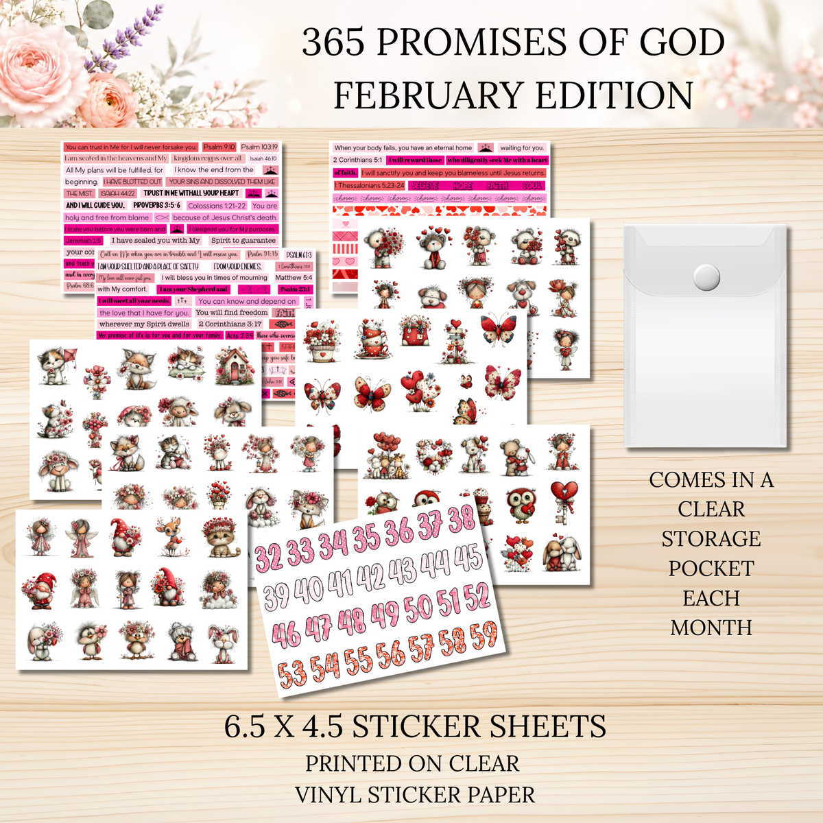 365 Promises of God FEBRUARY STAND ALONE KIT