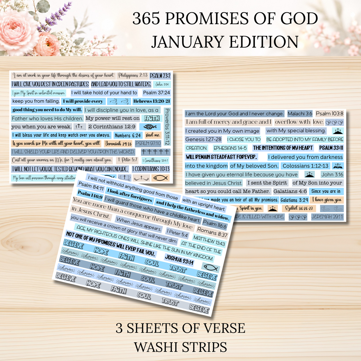 365 Promises of God JANUARY STAND ALONE KIT