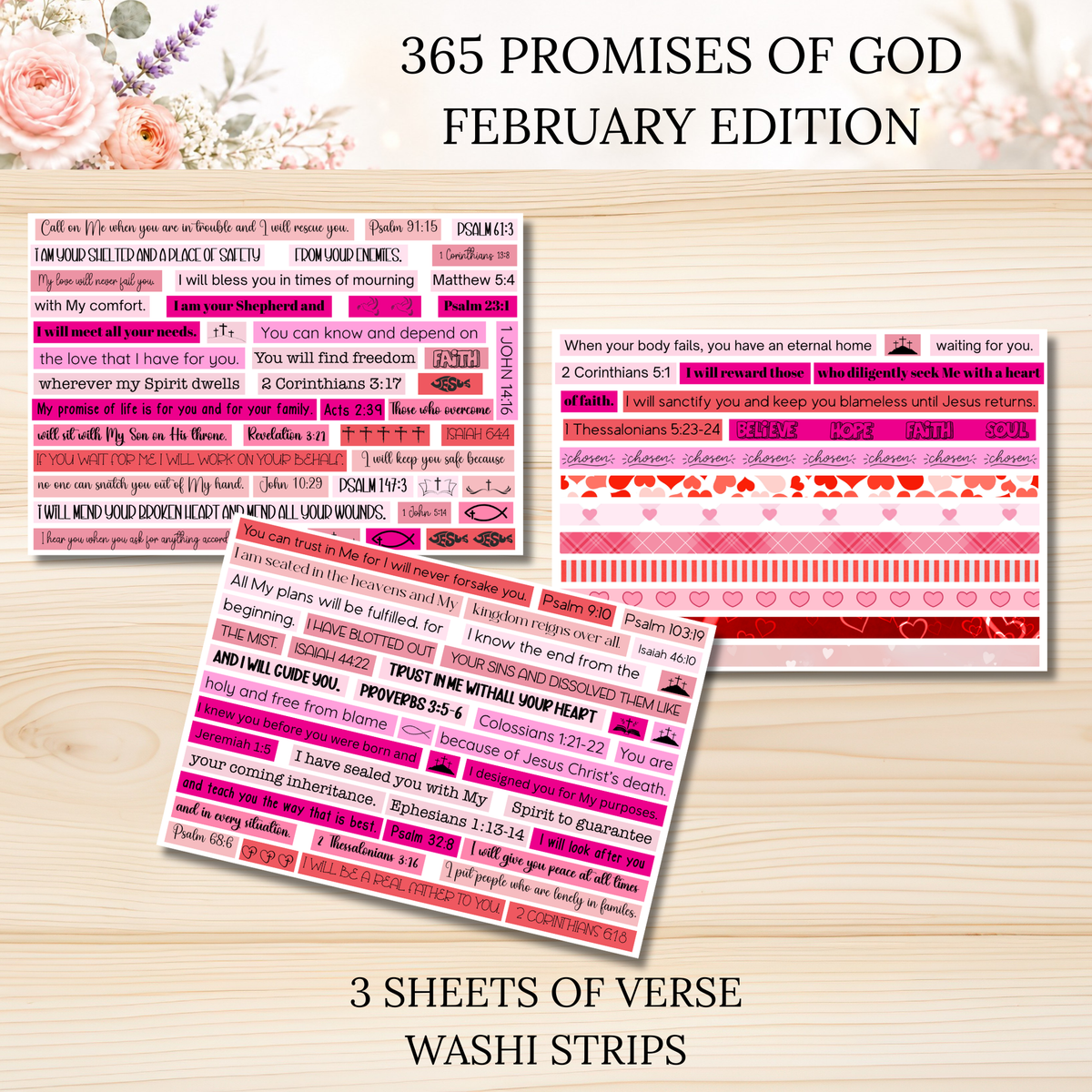 365 Promises of God FEBRUARY STAND ALONE KIT
