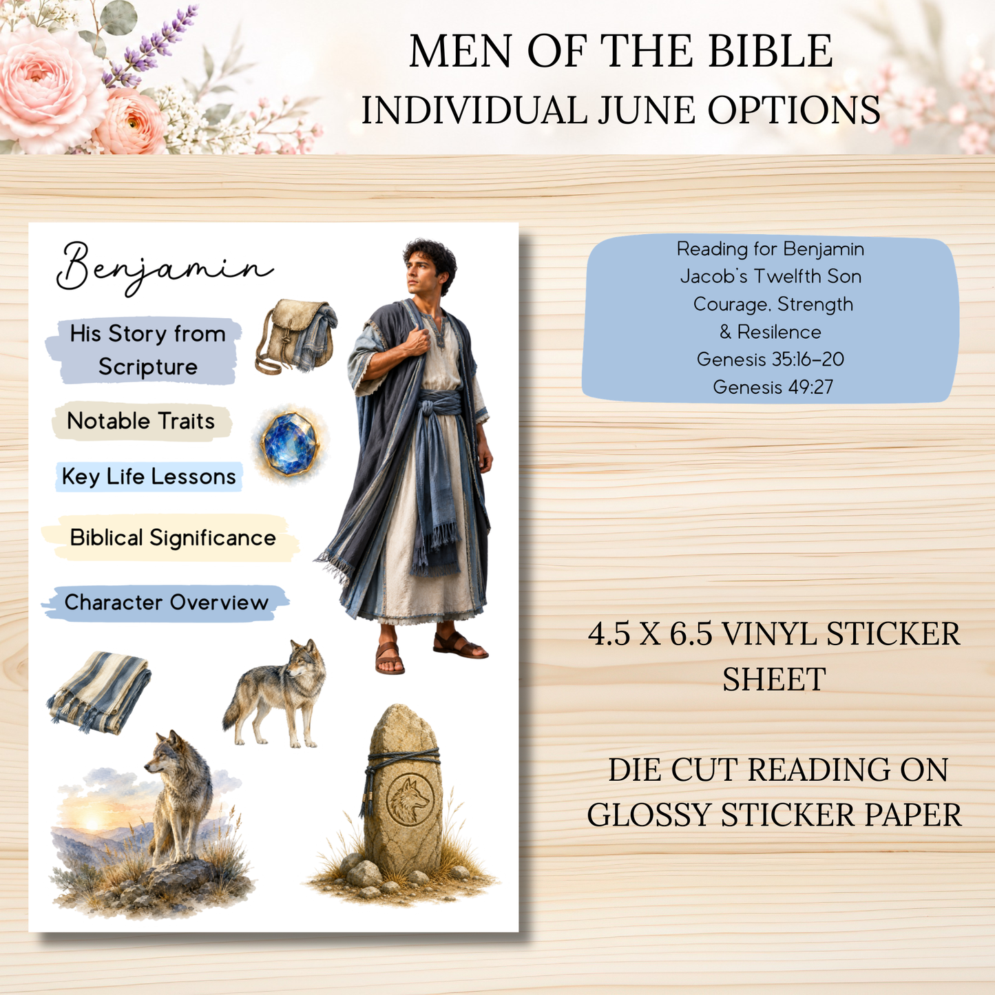 JUNE Men of the Bible Individual Sticker Sheet Options