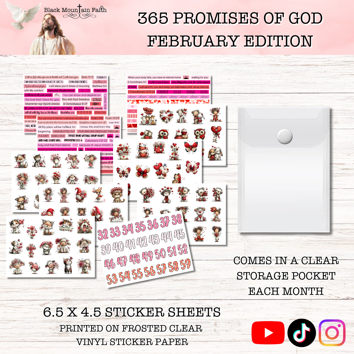 365 Promises of God FEBRUARY STAND ALONE KIT