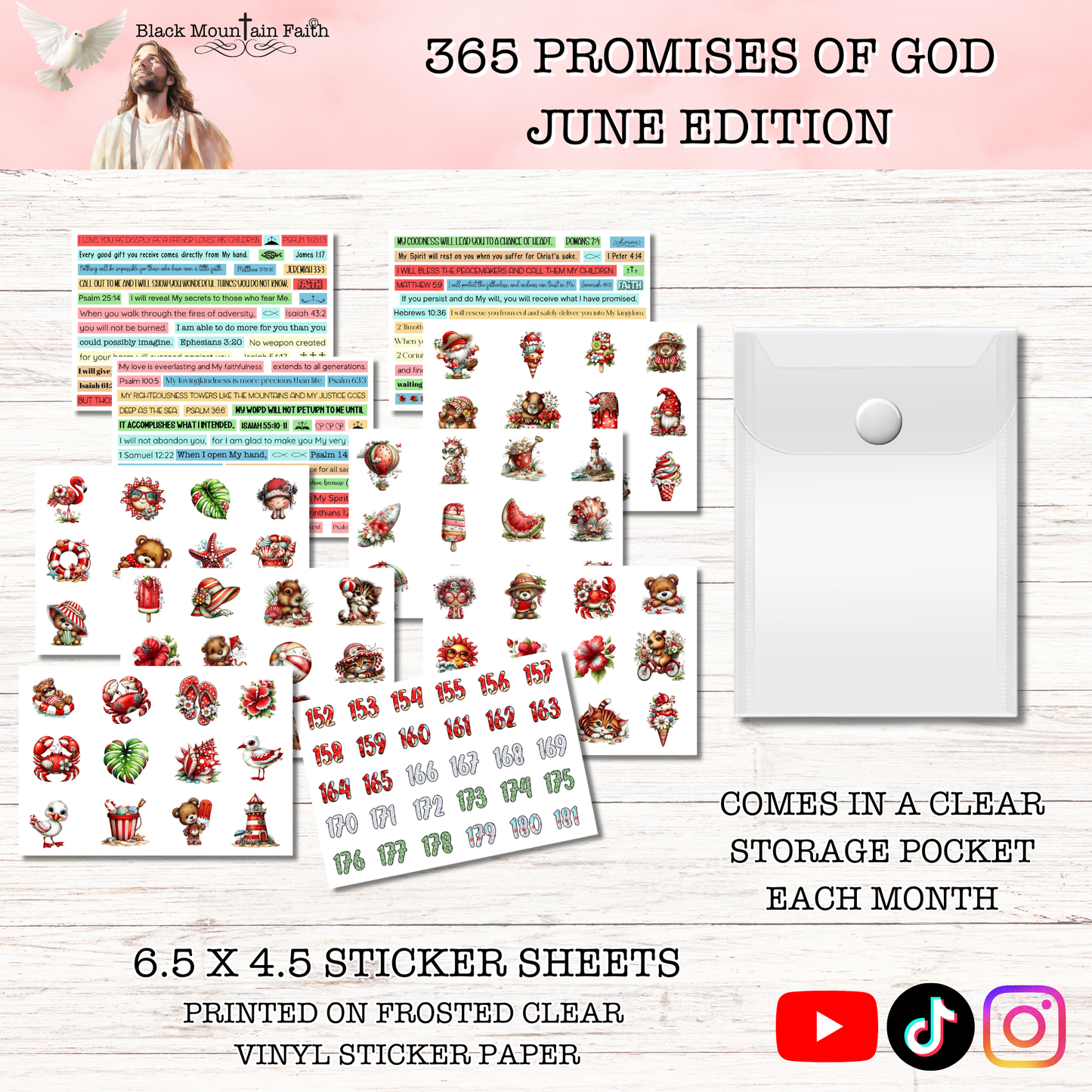 365 Promises of God JUNE STAND ALONE KIT