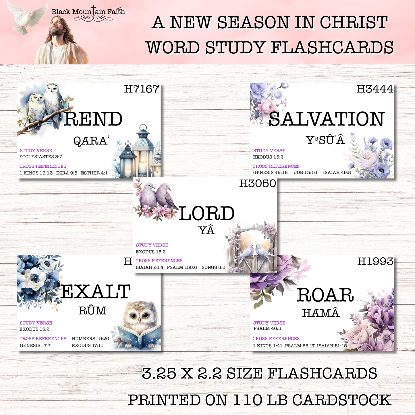 A New Season in Christ Word Study Flashcards