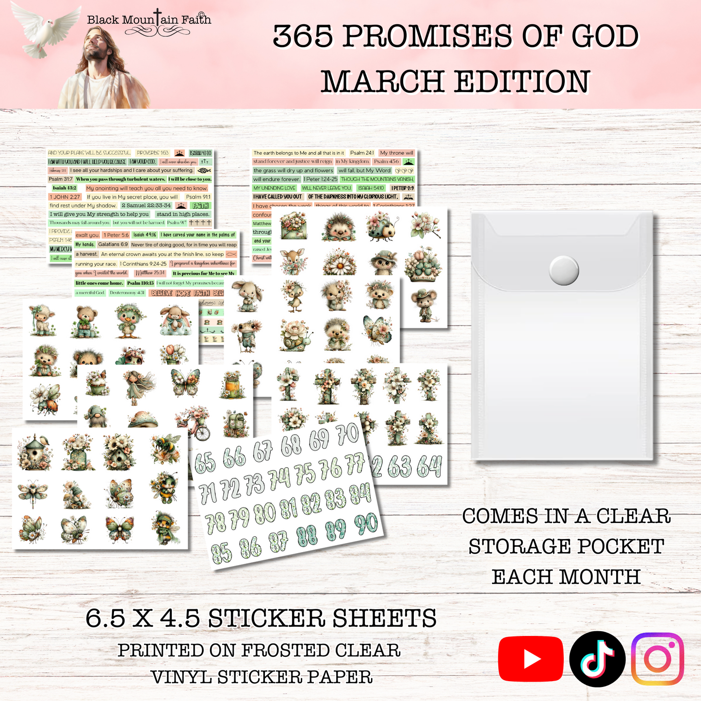365 Promises of God MARCH STAND ALONE KIT