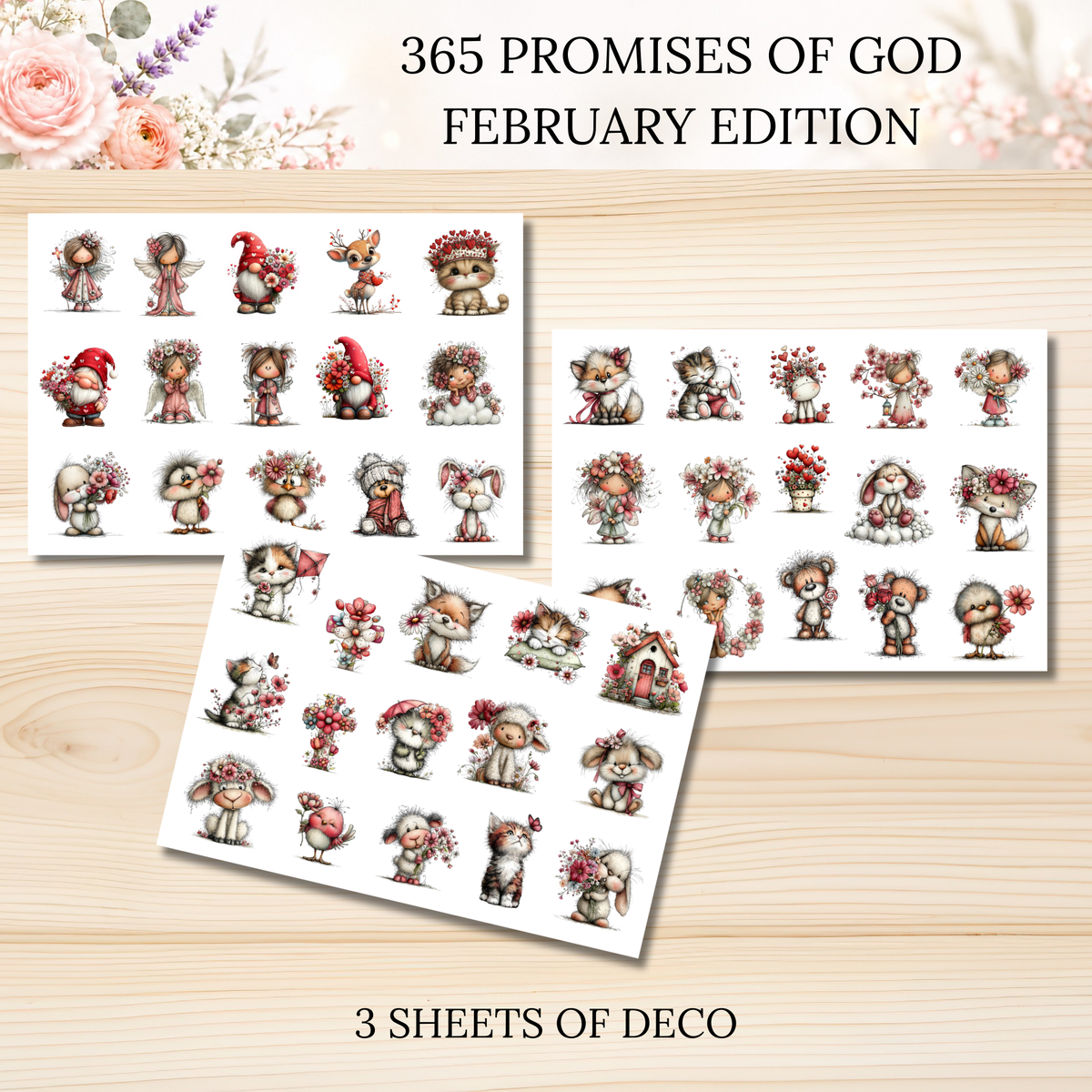 365 Promises of God FEBRUARY STAND ALONE KIT