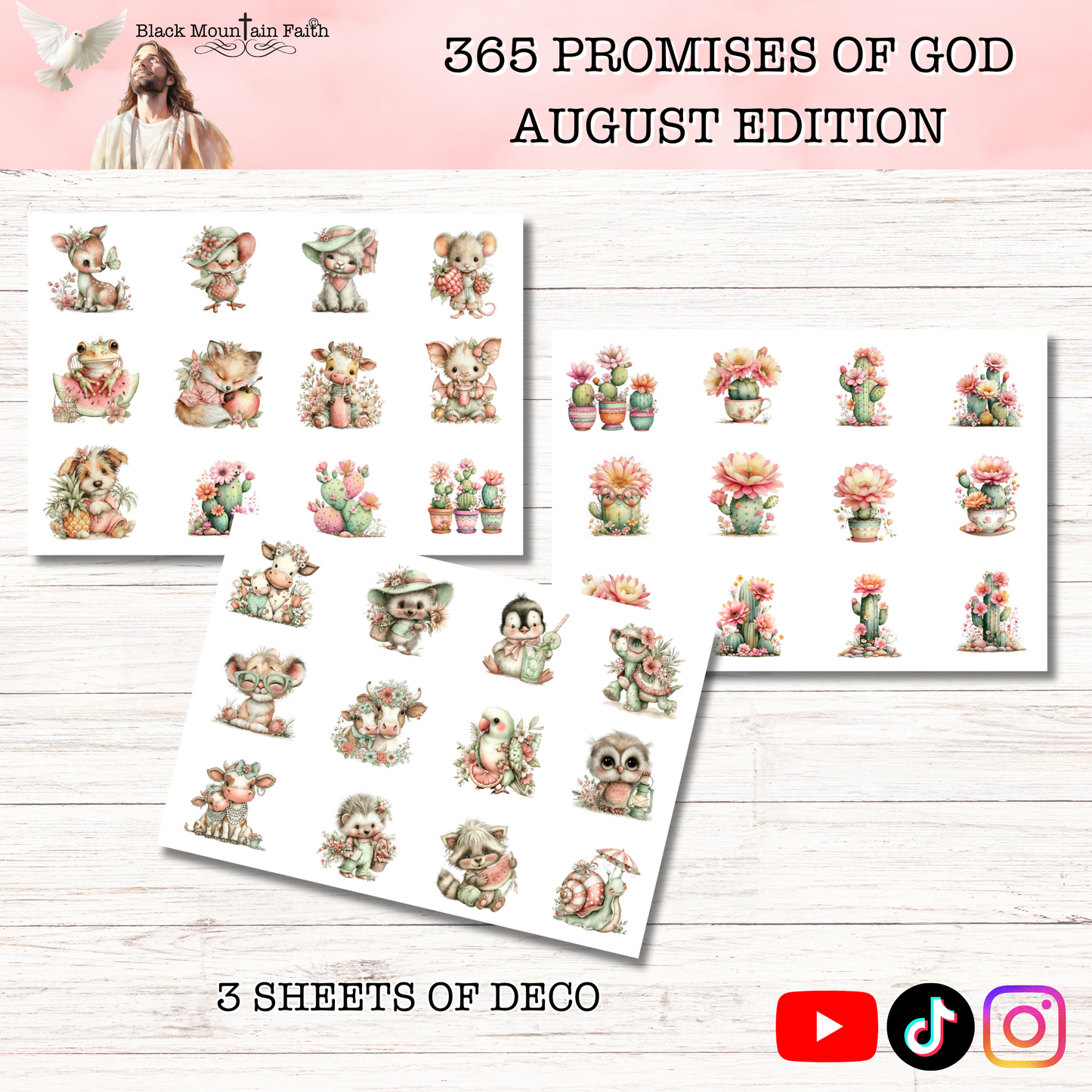 365 Promises of God AUGUST STAND ALONE KIT
