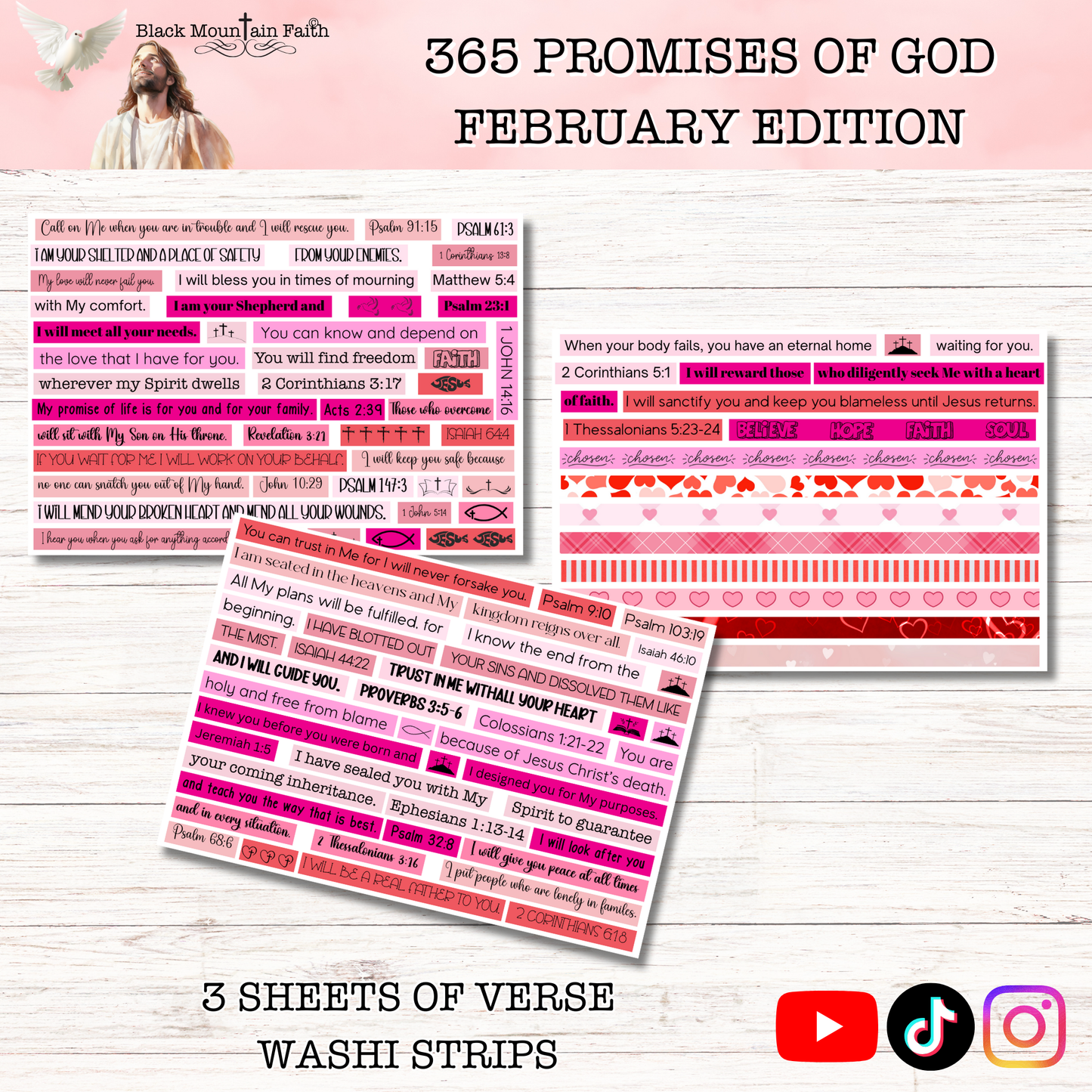 365 Promises of God FEBRUARY STAND ALONE KIT