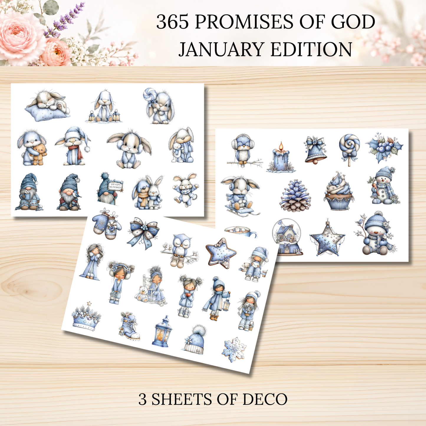365 Promises of God JANUARY STAND ALONE KIT