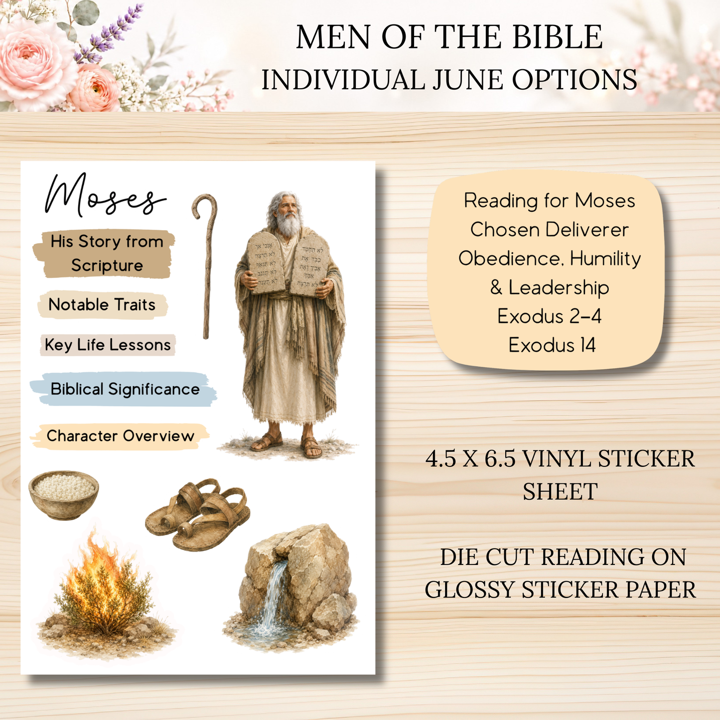 JUNE Men of the Bible Individual Sticker Sheet Options