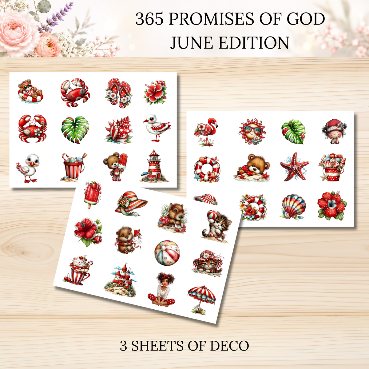 365 Promises of God JUNE STAND ALONE KIT