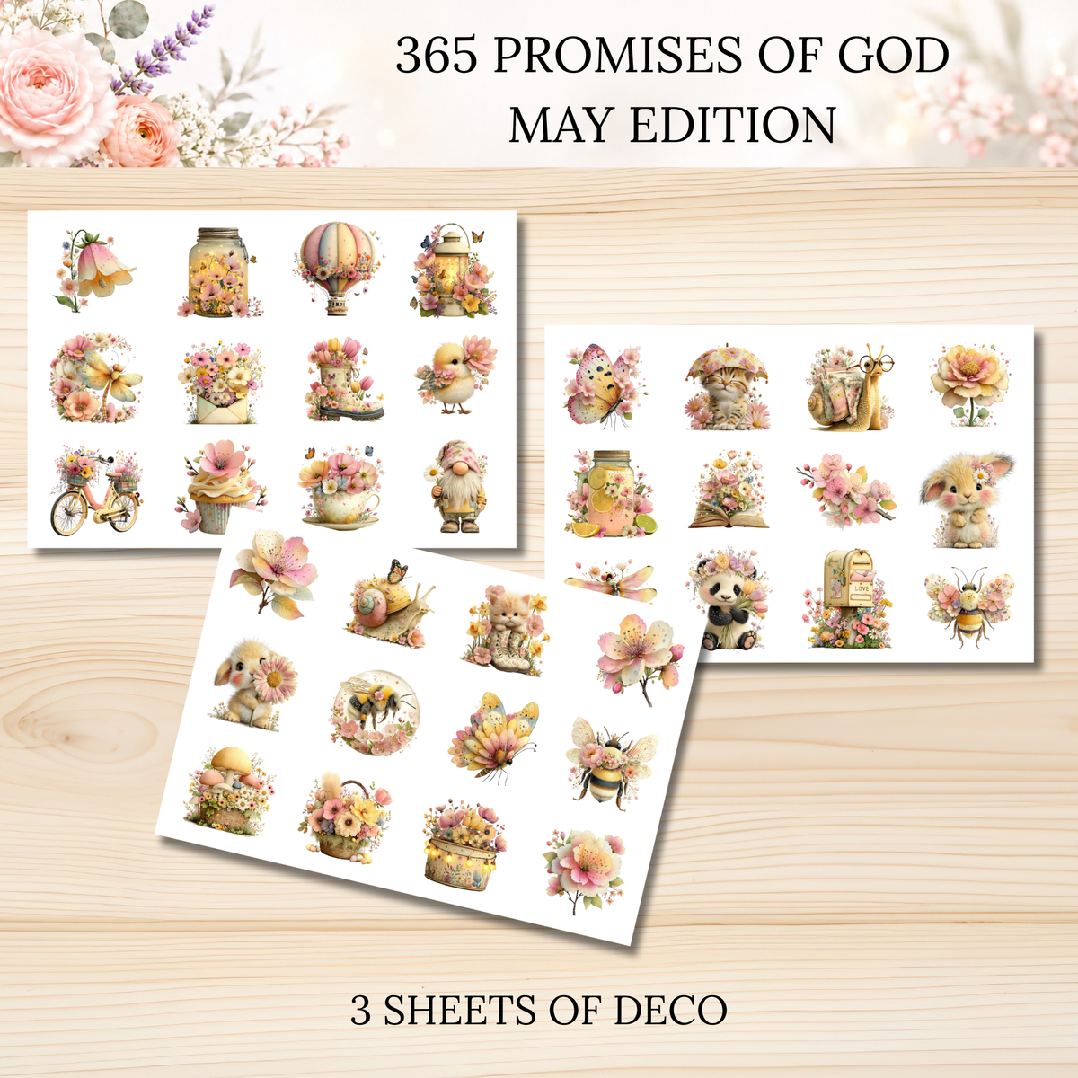 365 Promises of God MAY STAND ALONE KIT