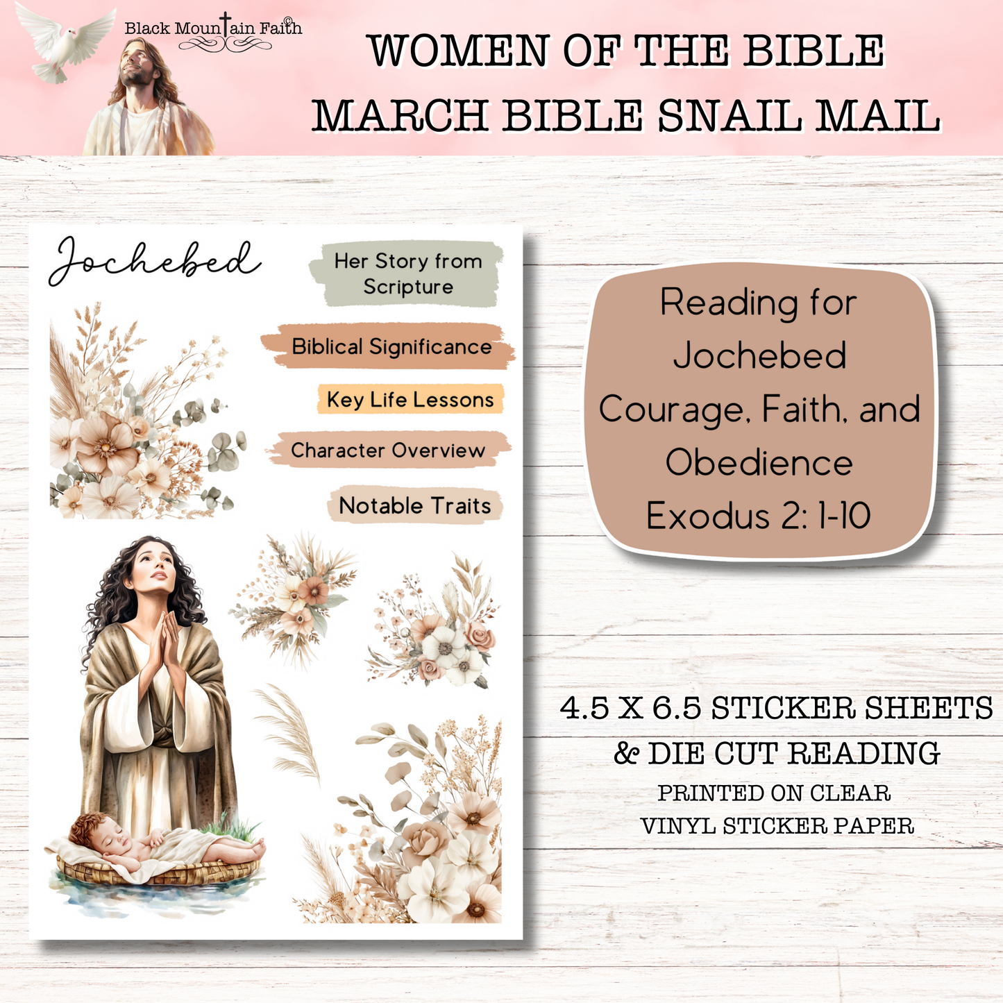Women of the Bible Snail Mail Stickers MARCH EDITION Stand Alone Listing