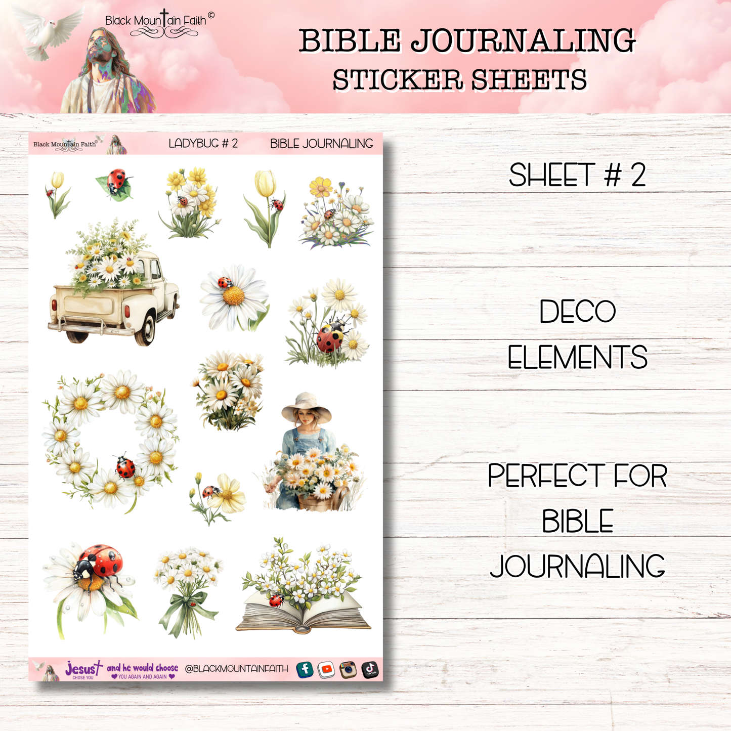 Ladybug  Bible Journaling Stickers