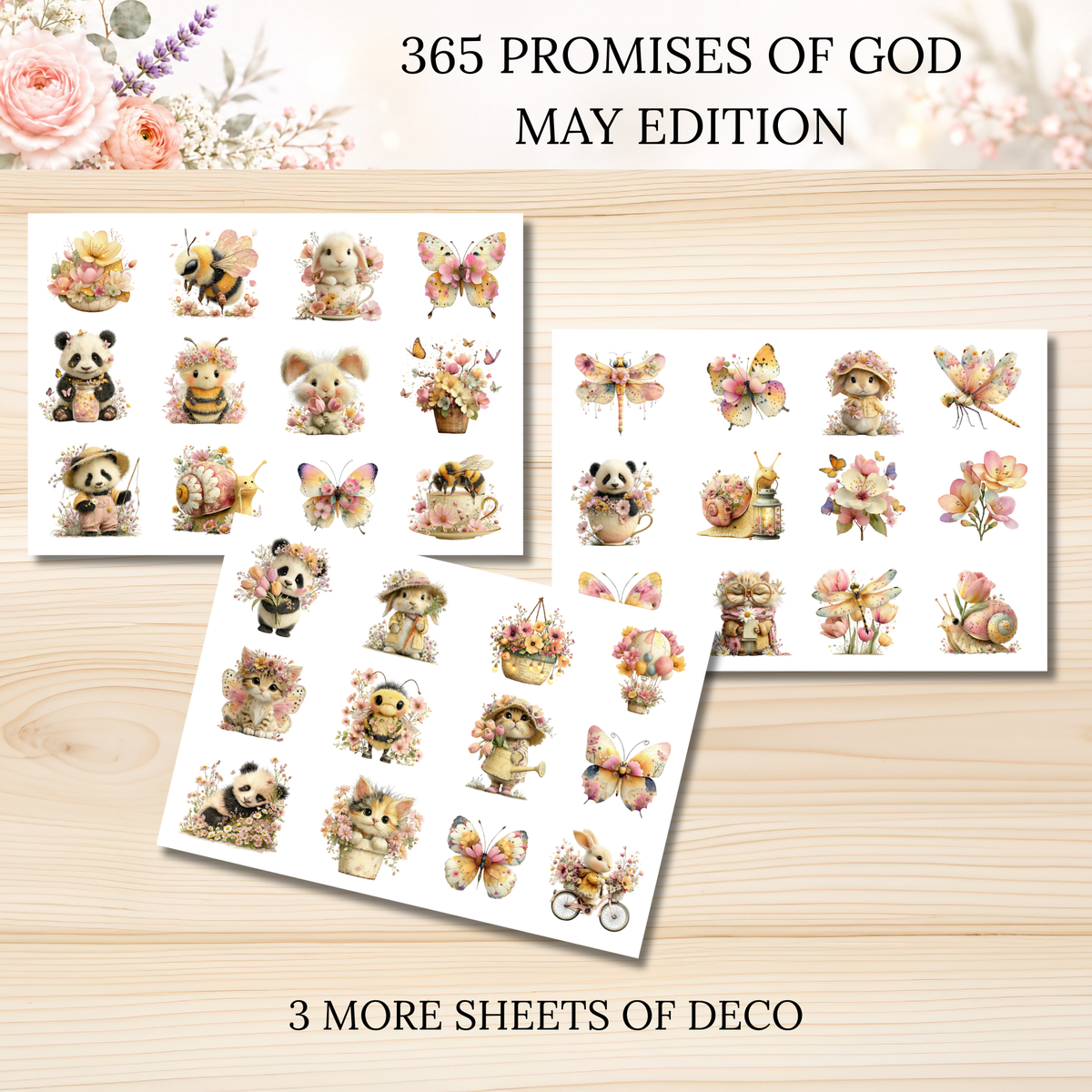 365 Promises of God MAY STAND ALONE KIT