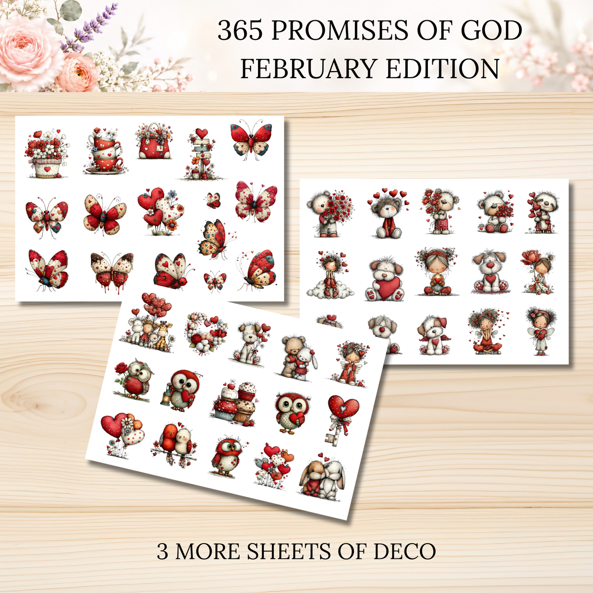 365 Promises of God FEBRUARY STAND ALONE KIT