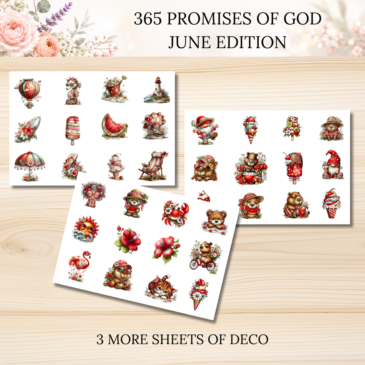365 Promises of God JUNE STAND ALONE KIT