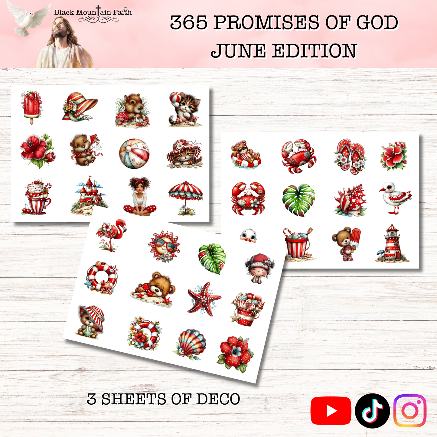 365 Promises of God JUNE STAND ALONE KIT