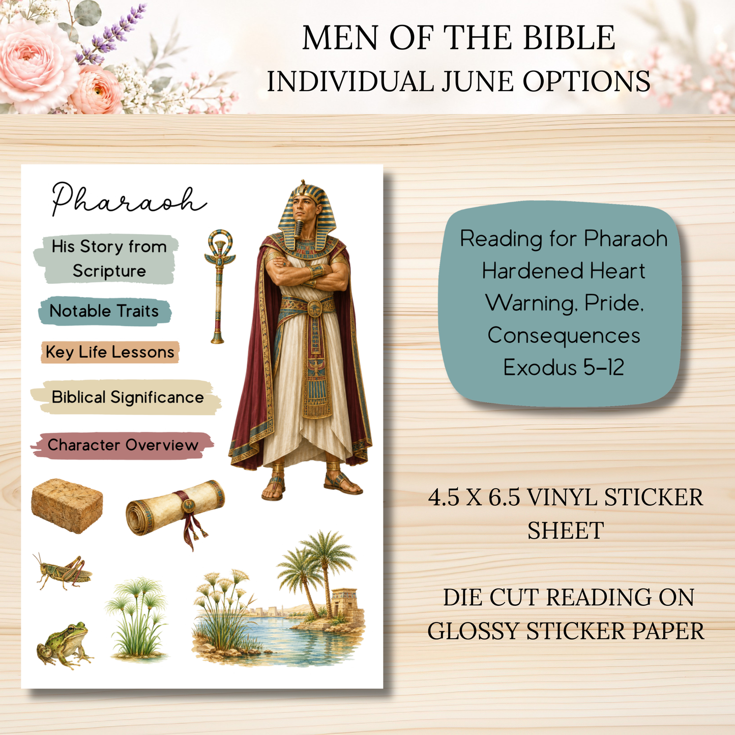 JUNE Men of the Bible Individual Sticker Sheet Options