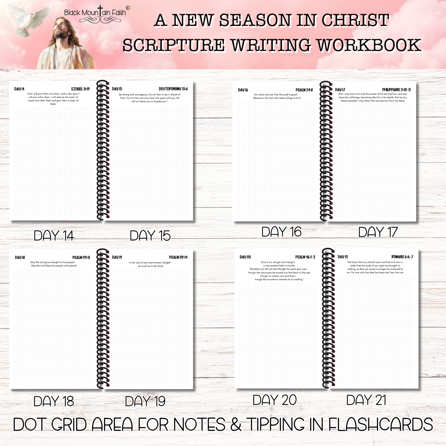 A New Season in Christ Deluxe Collection PAST Scripture Writing Collections
