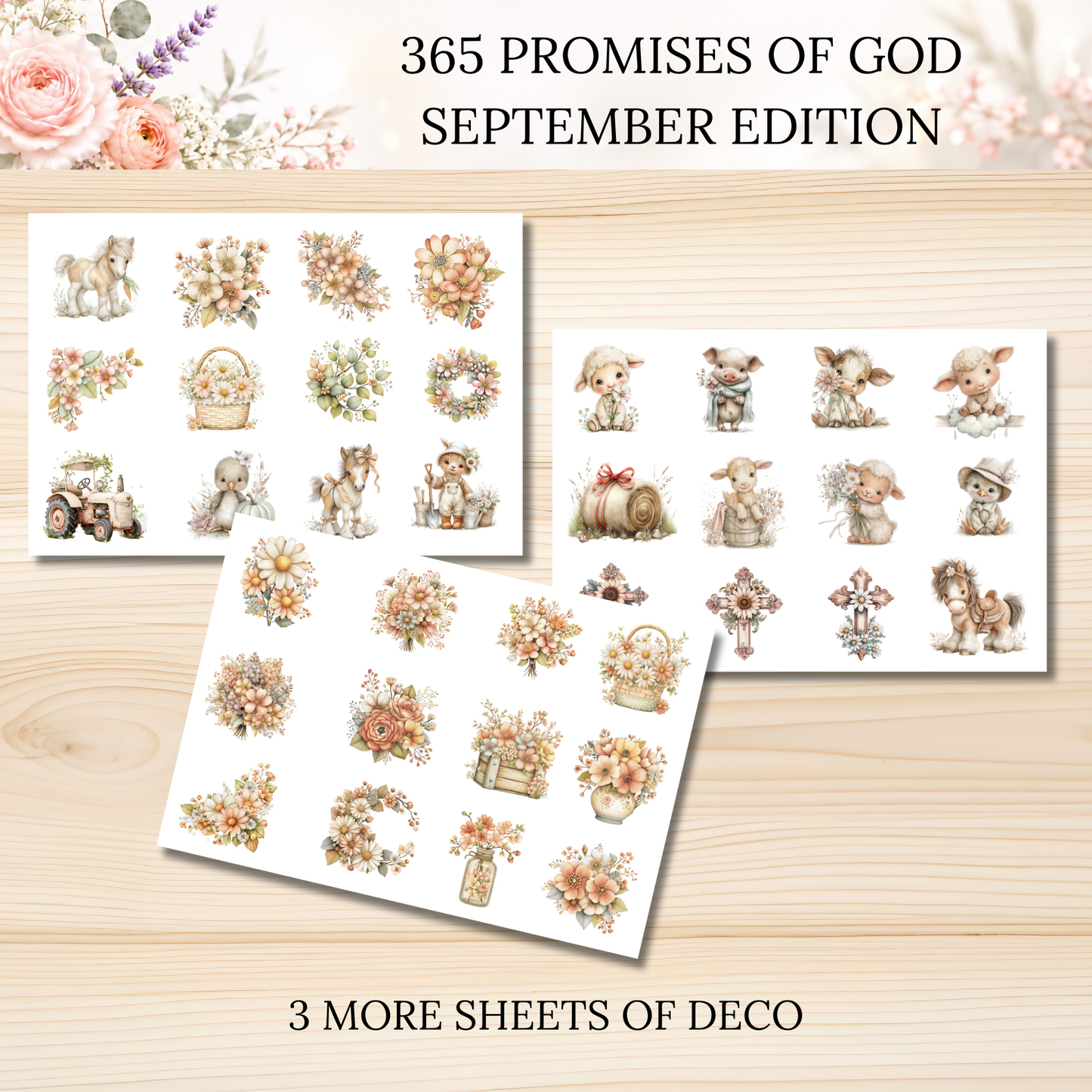 365 Promises of God SEPTEMBER STAND ALONE KIT