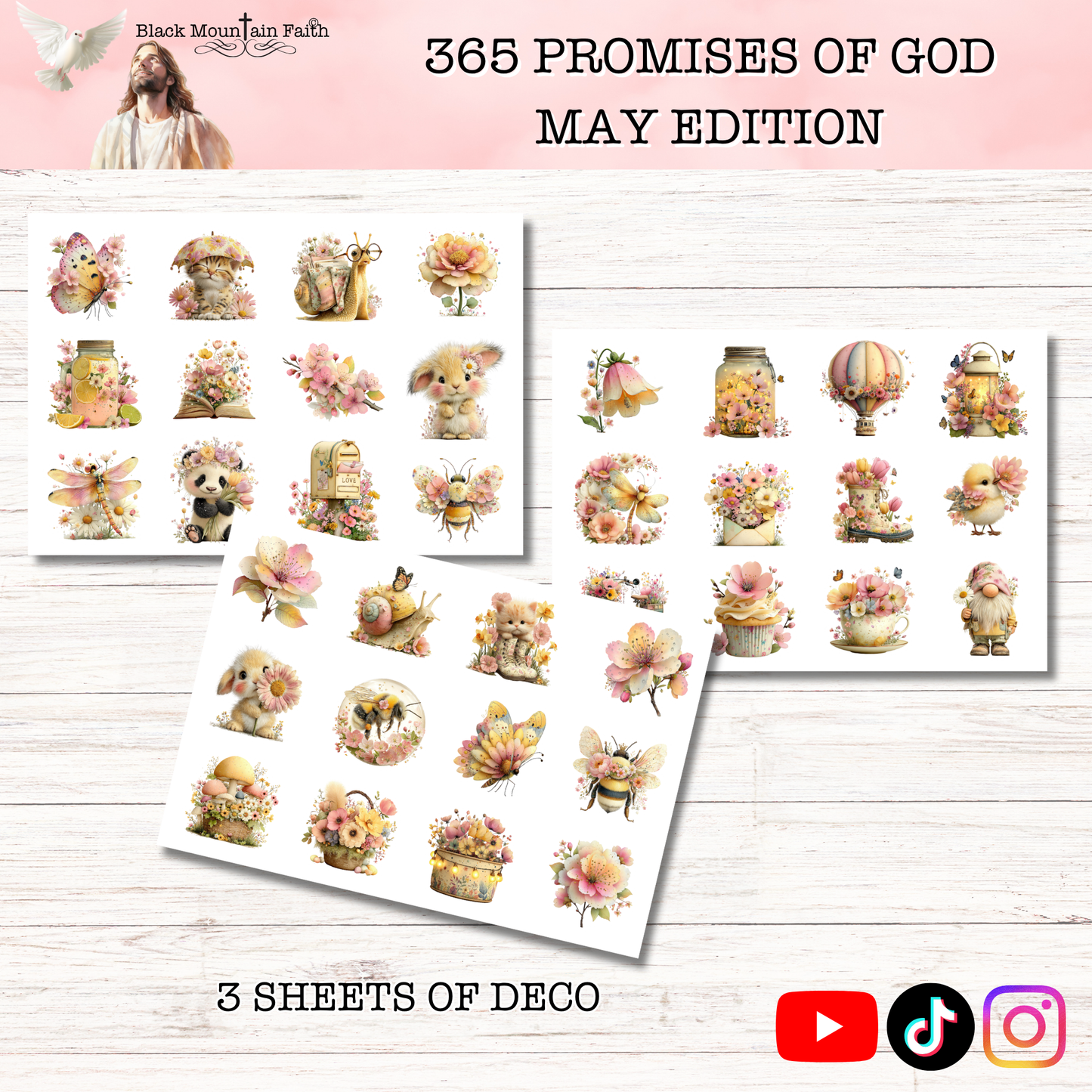365 Promises of God MAY STAND ALONE KIT