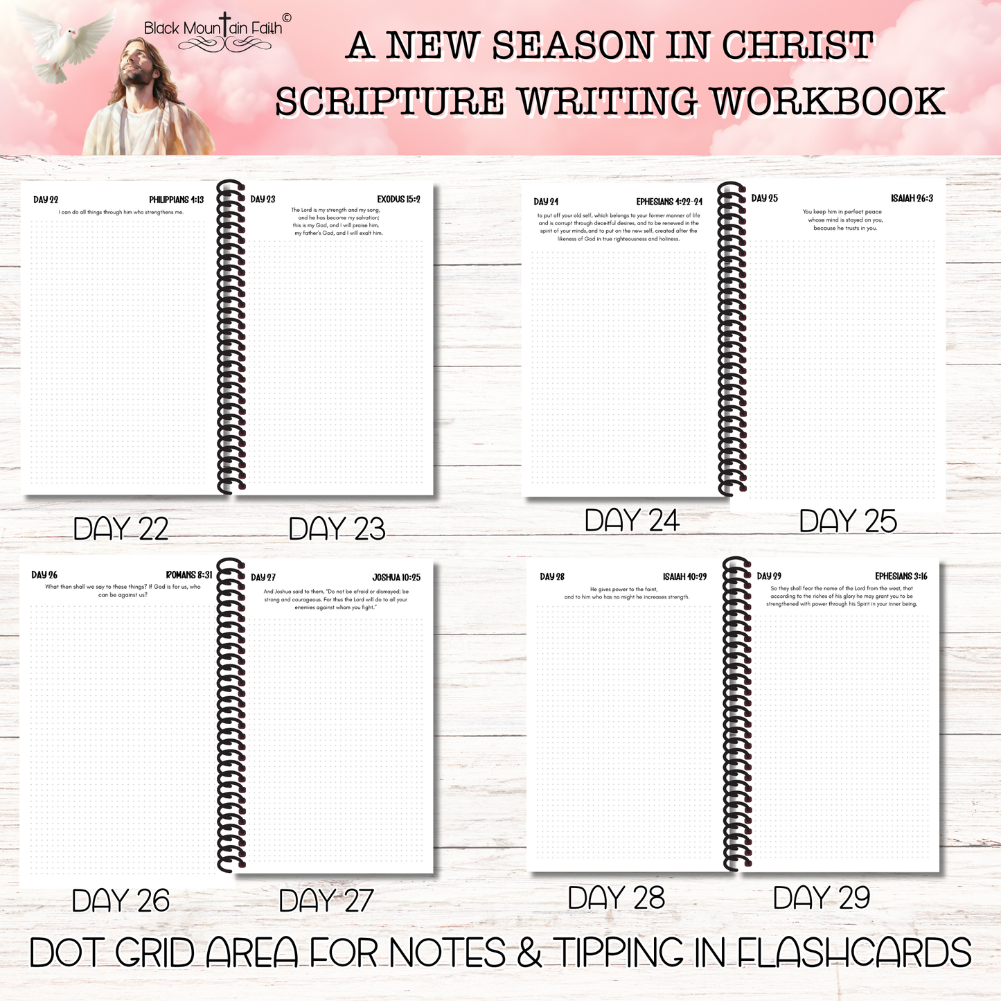 A New Season in Christ Deluxe Collection PAST Scripture Writing Collections