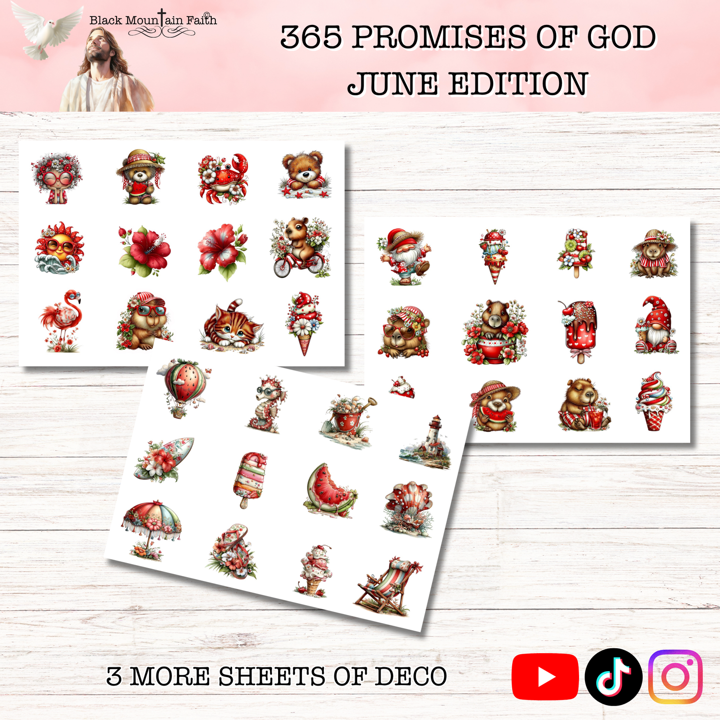 365 Promises of God JUNE STAND ALONE KIT