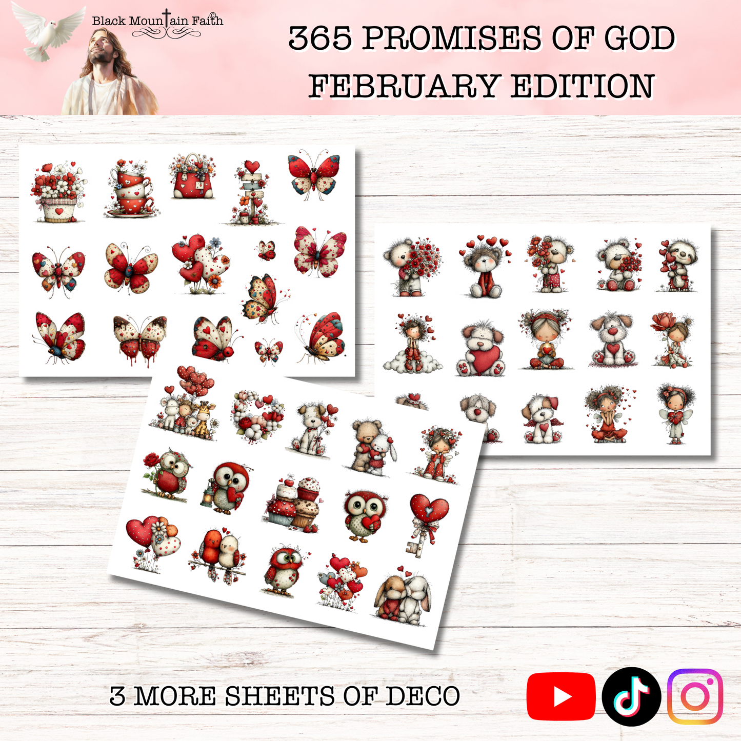 365 Promises of God FEBRUARY STAND ALONE KIT