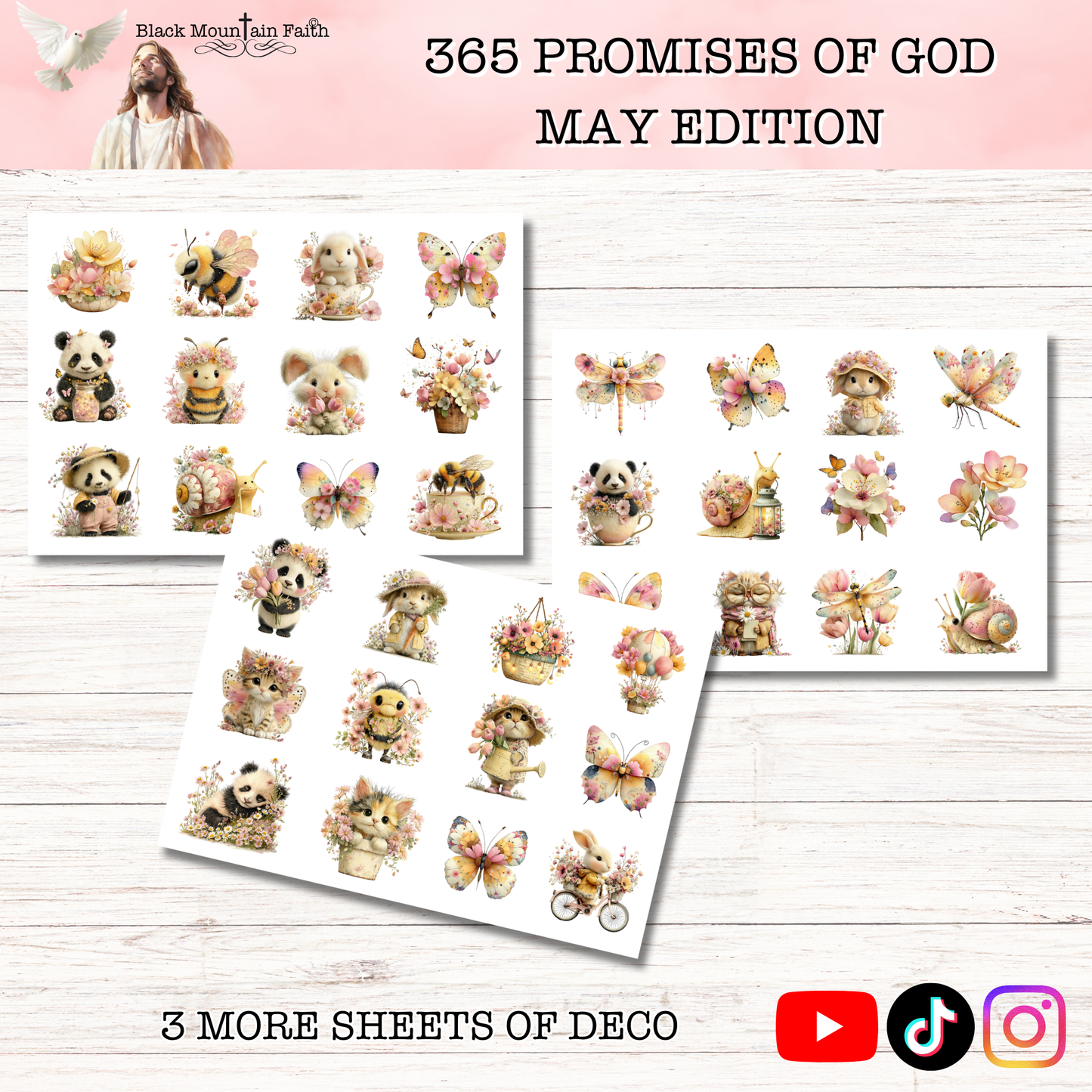 365 Promises of God MAY STAND ALONE KIT