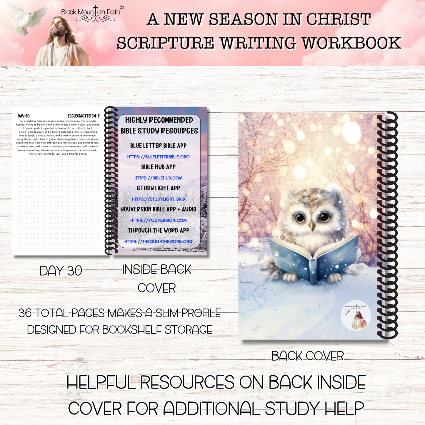 A New Season in Christ Deluxe Collection PAST Scripture Writing Collections