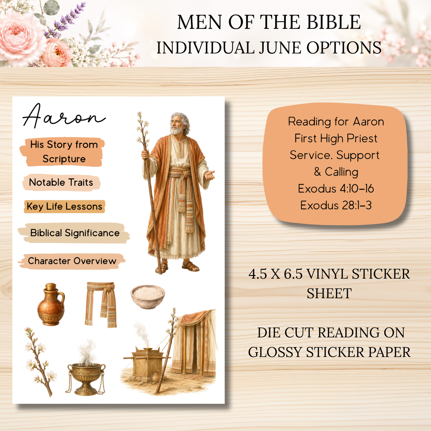 JUNE Men of the Bible Individual Sticker Sheet Options