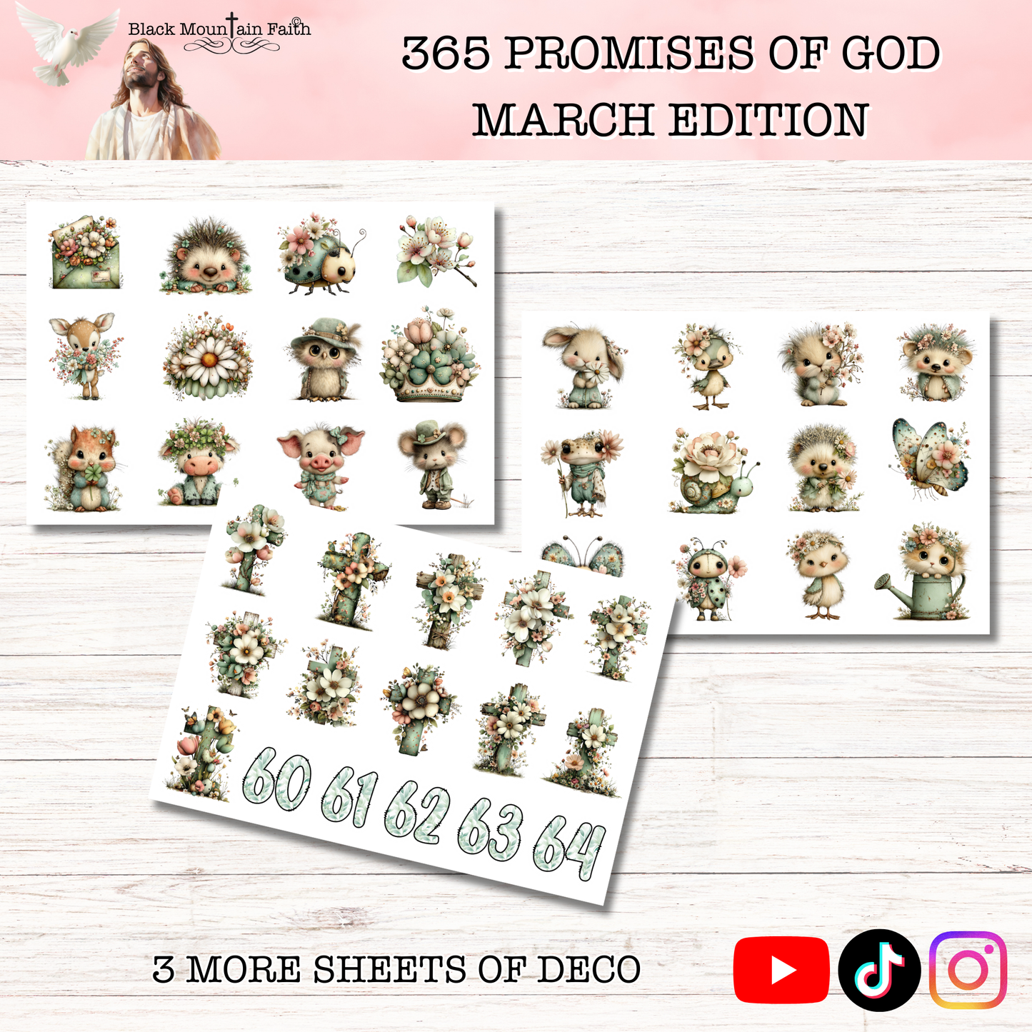 365 Promises of God MARCH STAND ALONE KIT