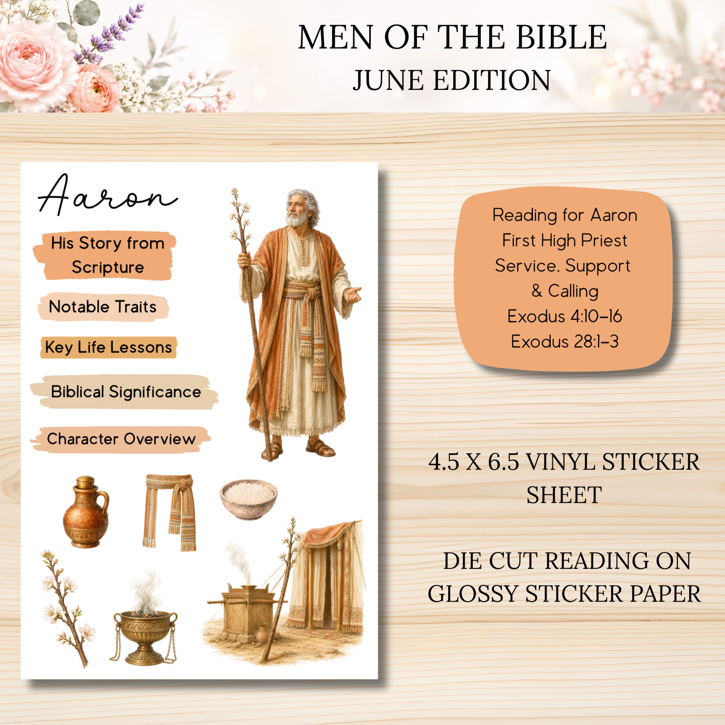 JUNE Men of the Bible Snail Mail Stickers PAST EDITION Listing