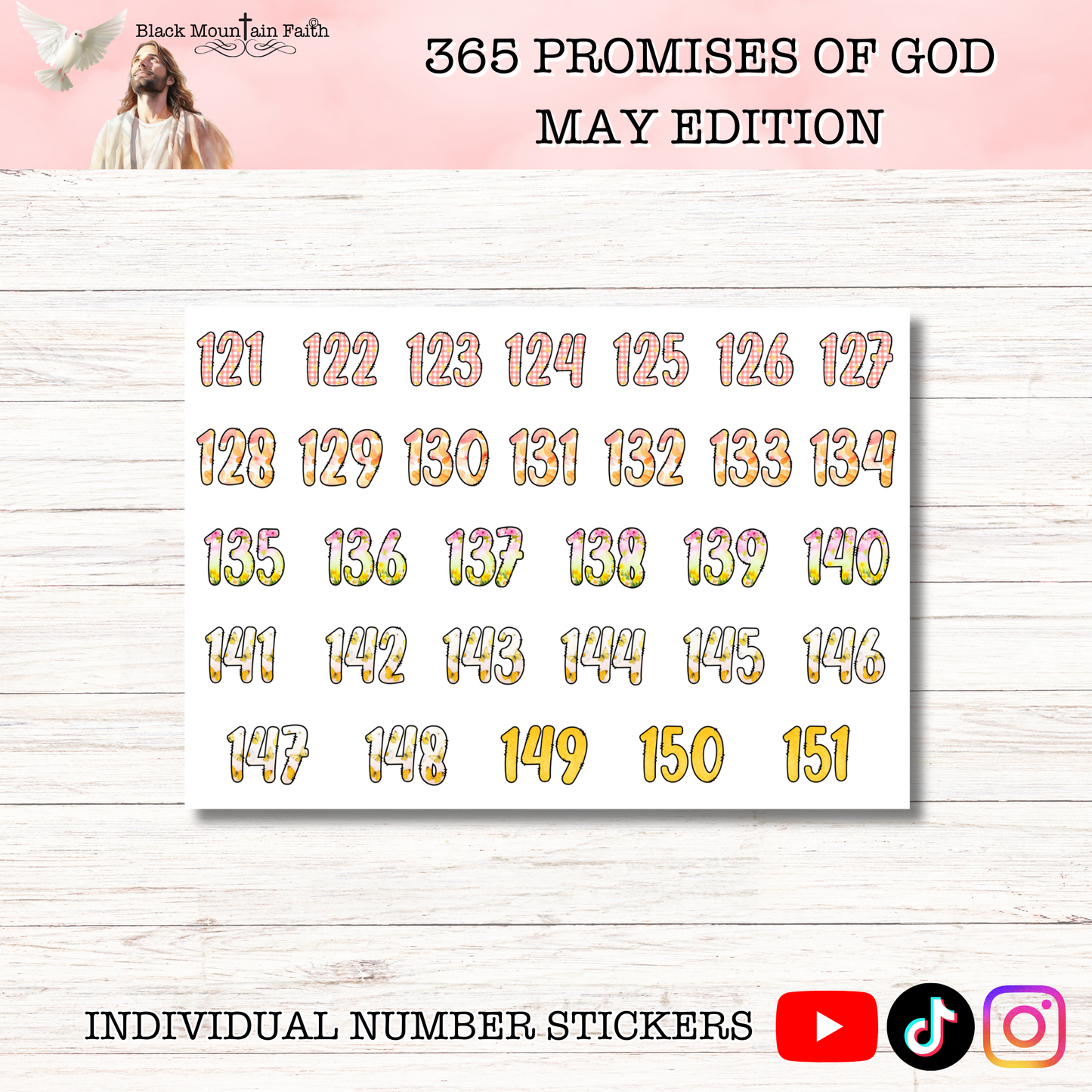 365 Promises of God MAY STAND ALONE KIT