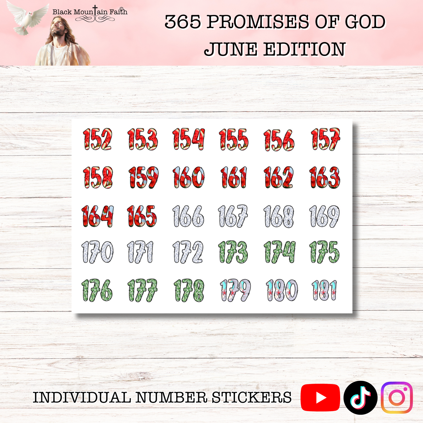 365 Promises of God JUNE STAND ALONE KIT