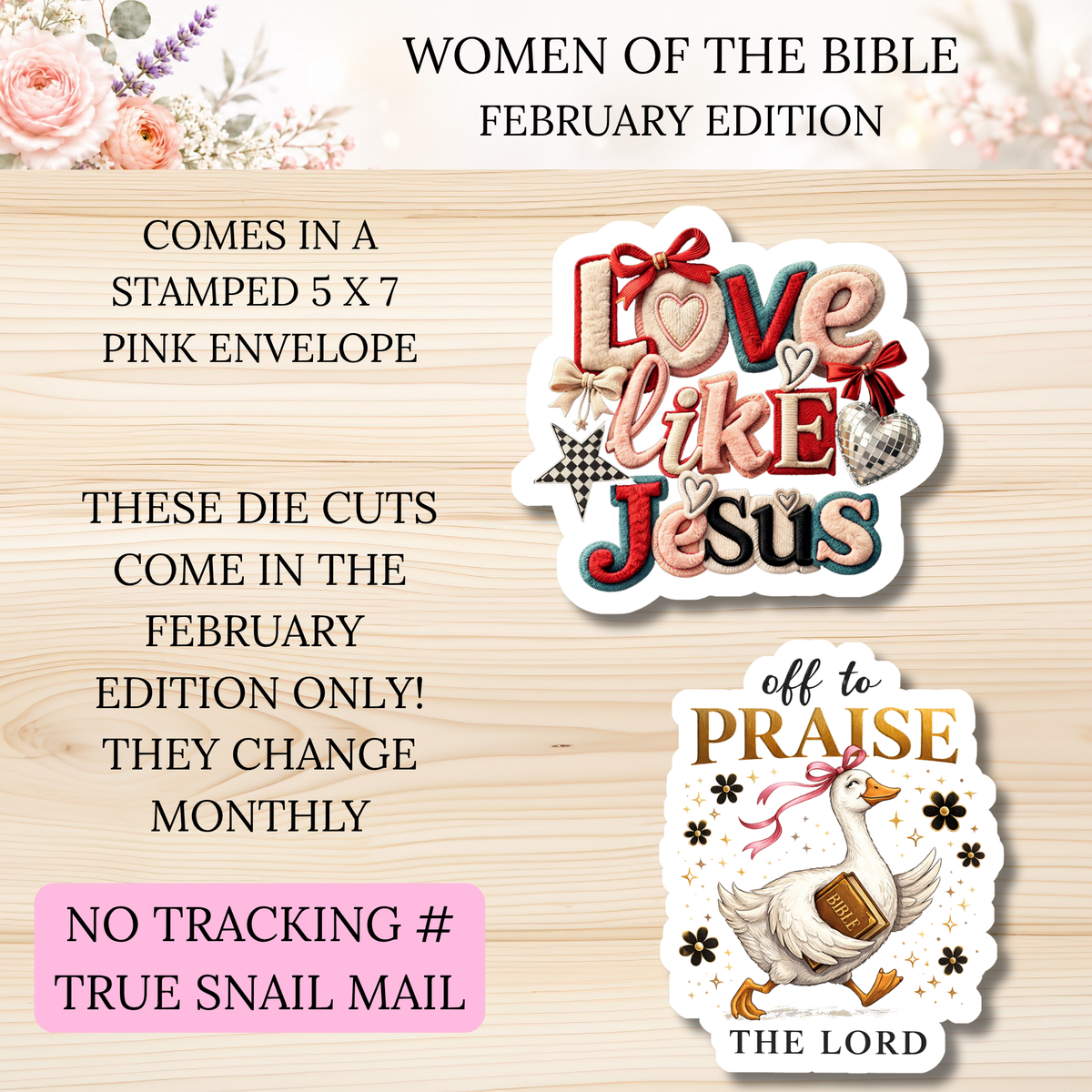 Women of the Bible Snail Mail Stickers FEBRUARY PAST EDITION  Listing